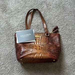 Medium Asher Brahmin Purse
